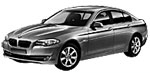 BMW F10 P3036 Fault Code